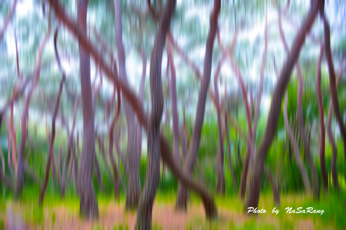 20260609120449382a68831253a681f949c5d0b020c424a13137ba.jpg