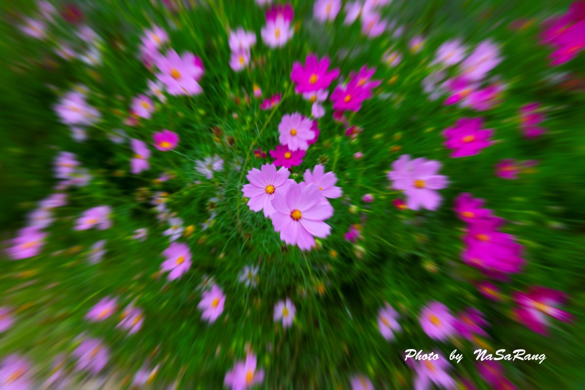 202609231511220d6318560c698f1f17c8be93d0db2e1976f5135c.jpg
