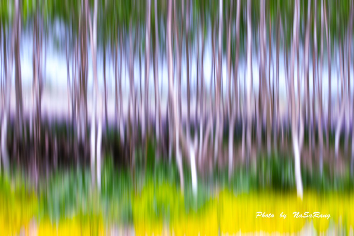 202604252212200f1b78722972923b69faa1165c9765389901e384.jpg
