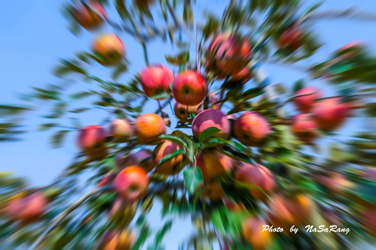 2026092215223567494e0442d9a82439568e640be93e50524216e0.jpg