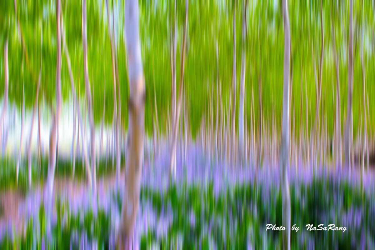 20260425220754ea4513cc1dbd7a96cc624ad3bccde08ede464593.jpg