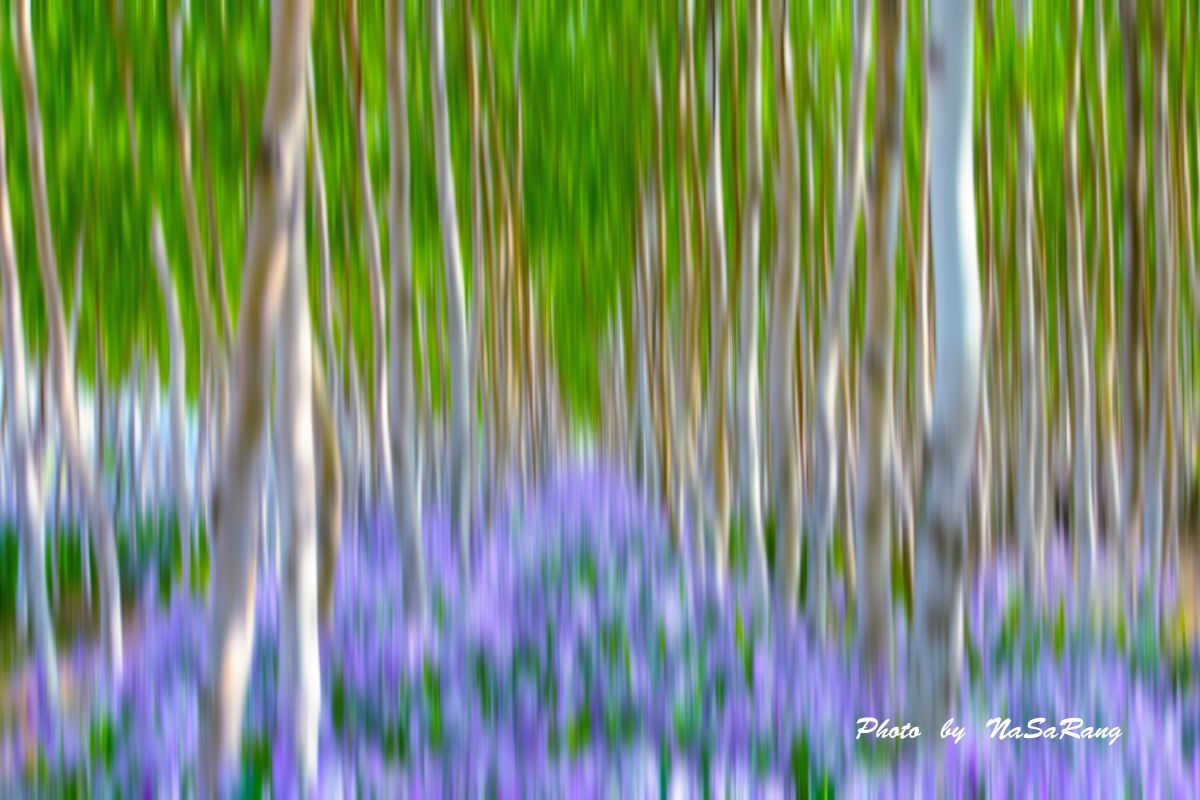 202604252203165b1d32a678e828fbc6cada51294615de5bc38f11.jpg