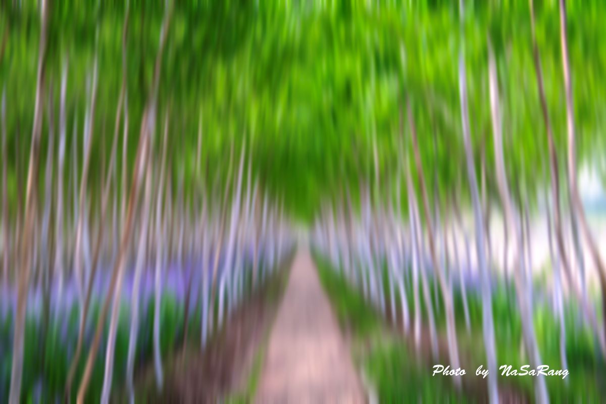 202604261042386931889a83961e5fc198ae8b6c8e8879bca893ec.jpg