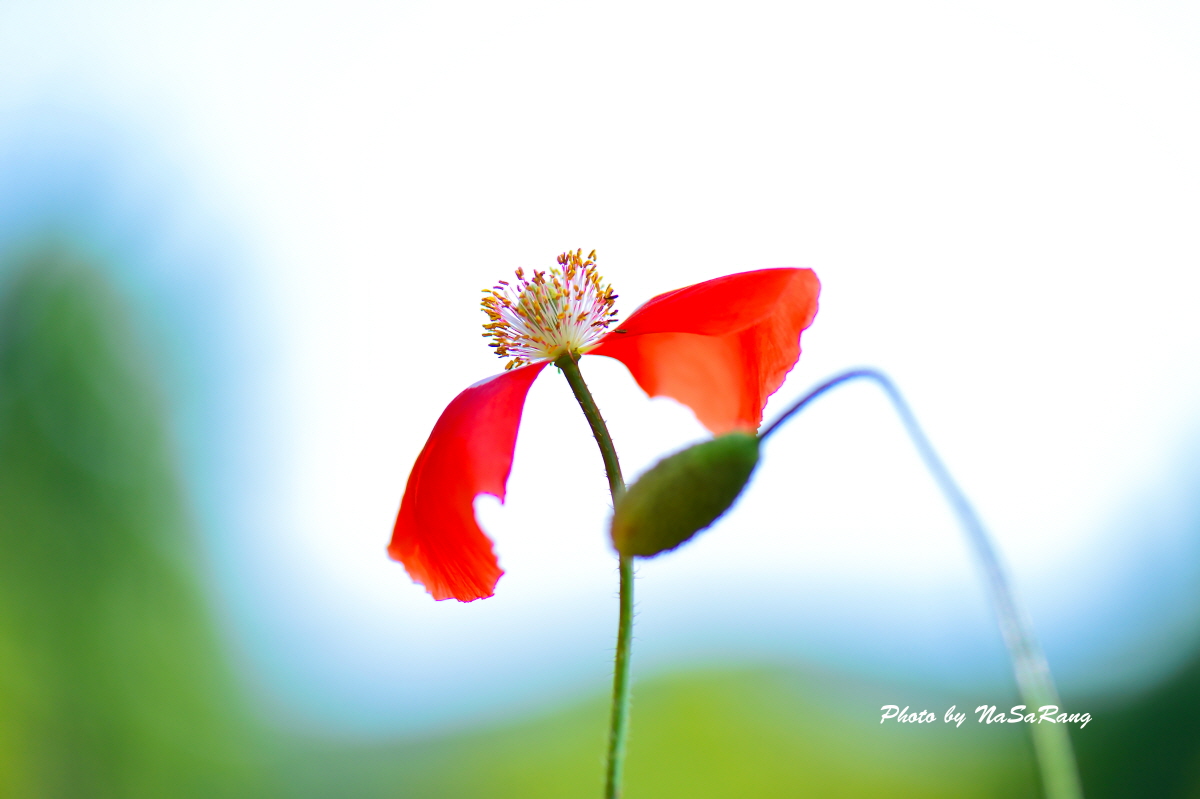 201906040957065222858.dsc_1582-1-1.jpg
